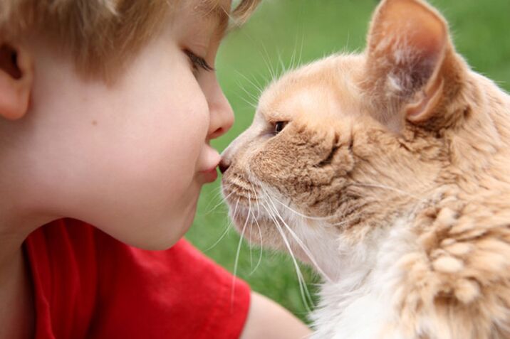 Jedes Kind kann sich durch Kontakt mit Tieren mit Würmern infizieren. 